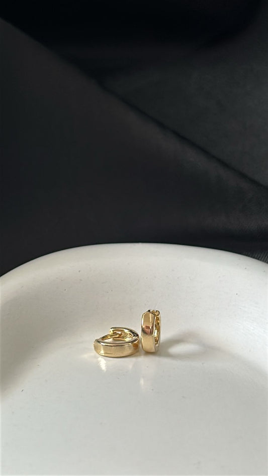 Brinco Mini Argola Lisa